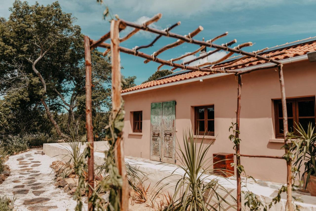 The Lemon Lodge ألخيزور المظهر الخارجي الصورة