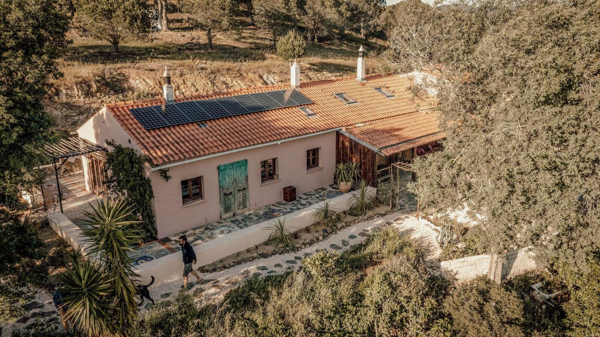 The Lemon Lodge ألخيزور المظهر الخارجي الصورة