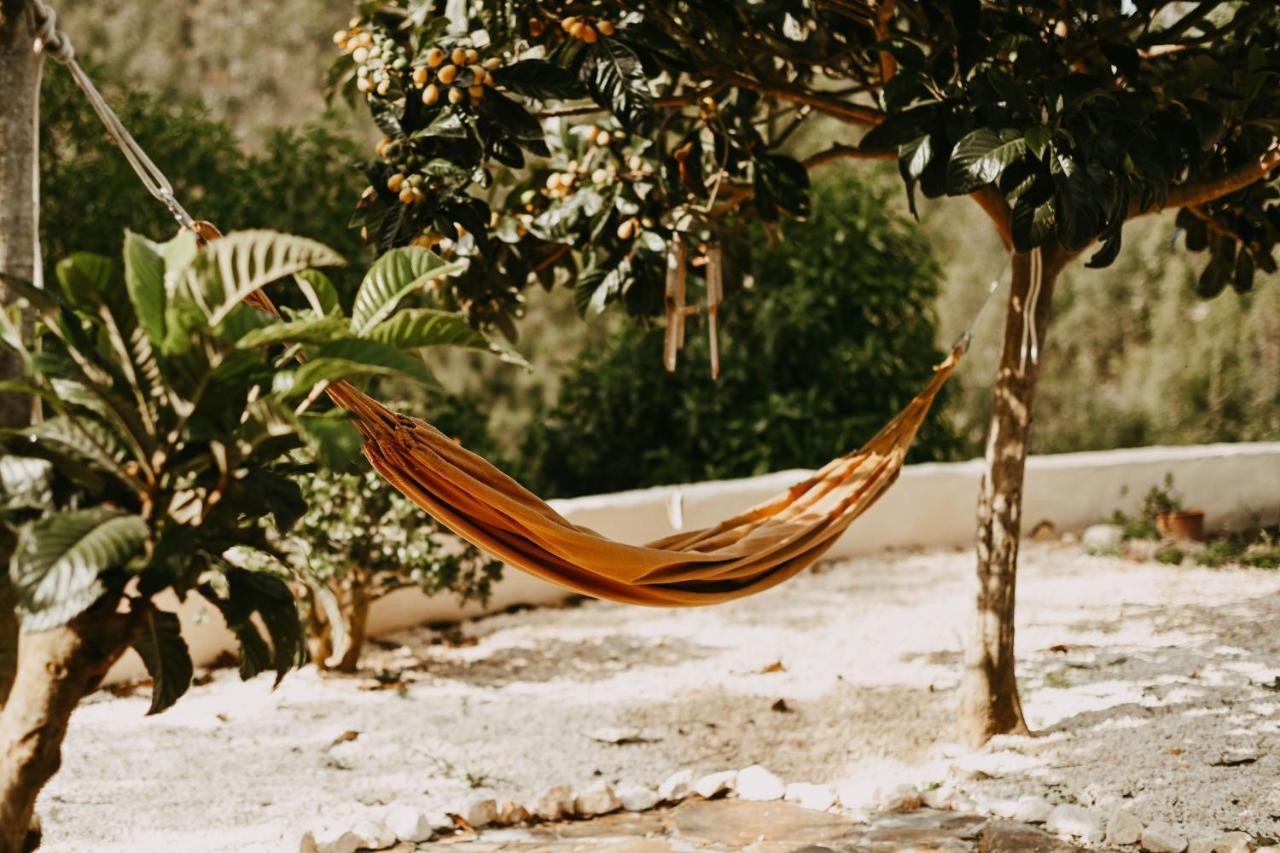 The Lemon Lodge ألخيزور المظهر الخارجي الصورة