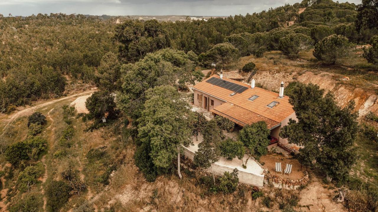 The Lemon Lodge ألخيزور المظهر الخارجي الصورة