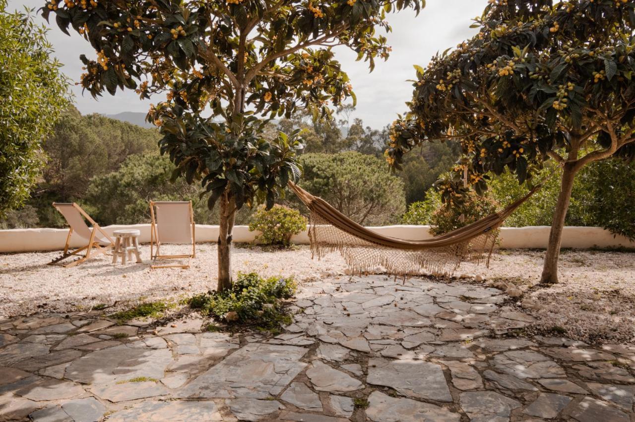 The Lemon Lodge ألخيزور المظهر الخارجي الصورة