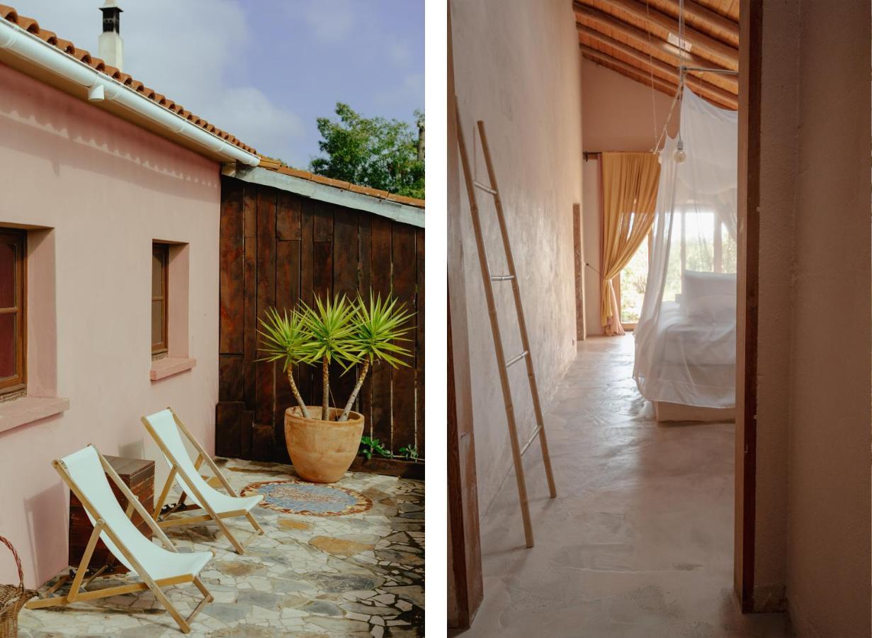 The Lemon Lodge ألخيزور المظهر الخارجي الصورة